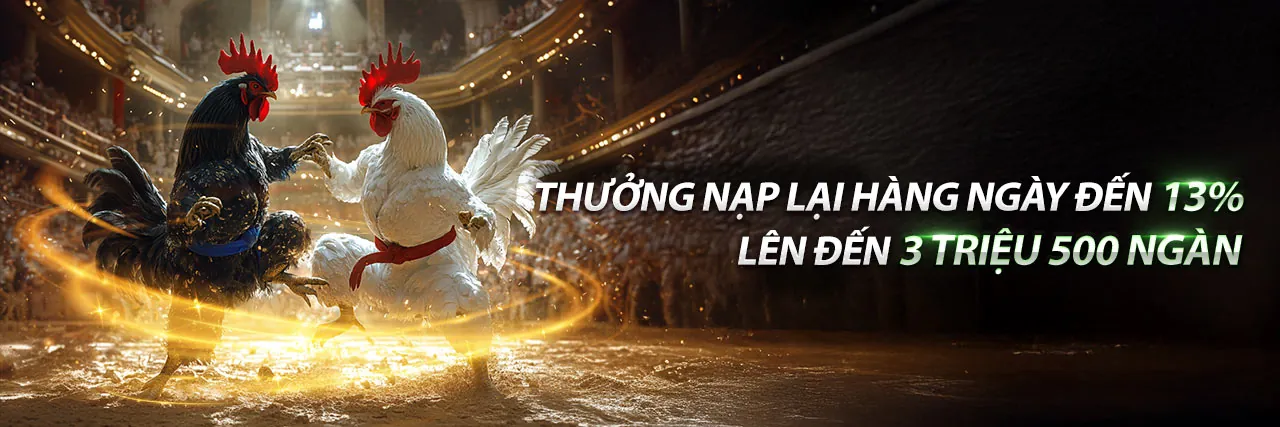 Đá Gà Trực Tuyến Hấp Dẫn tại Ke9 Link Vào